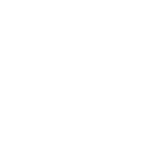 Vice